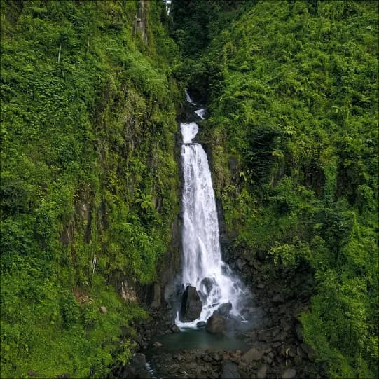 eSIM Dominica