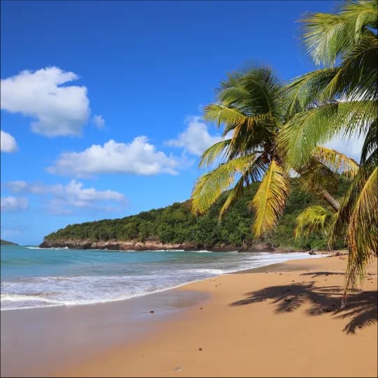 eSIM Guadeloupe - Parfait pour les voyageurs français