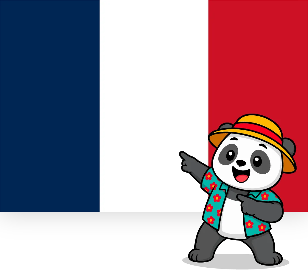 France Flag