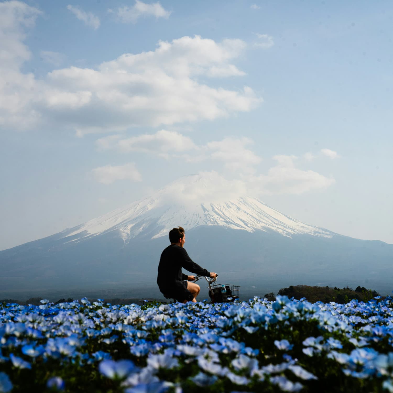 The Honest Japan Solo Travel Guide
