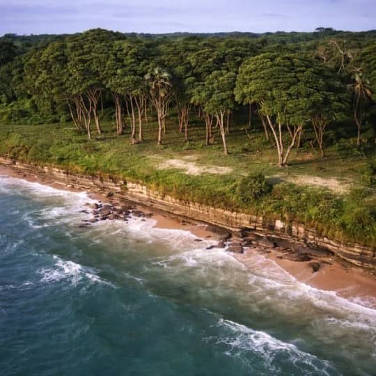eSIM Gabon - Parfait pour les voyageurs français